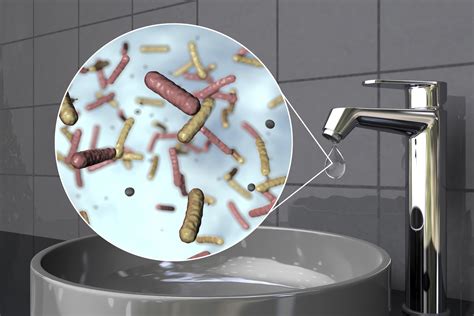 bottled water bacteria test|removing bacteria from well water.